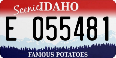 ID license plate E055481