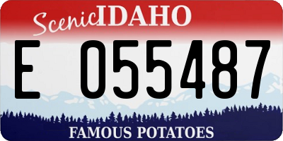 ID license plate E055487
