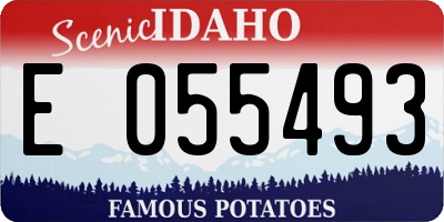 ID license plate E055493