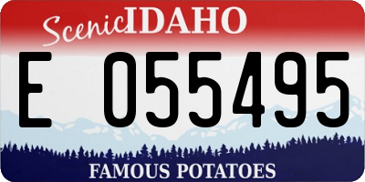 ID license plate E055495