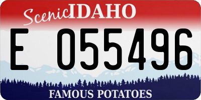 ID license plate E055496
