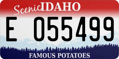 ID license plate E055499