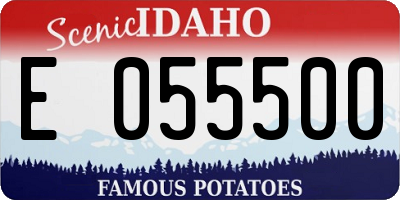 ID license plate E055500