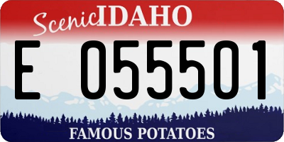 ID license plate E055501