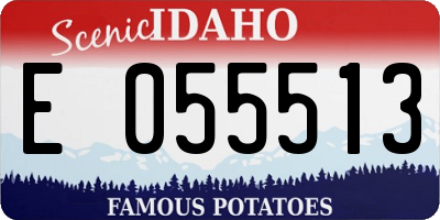 ID license plate E055513