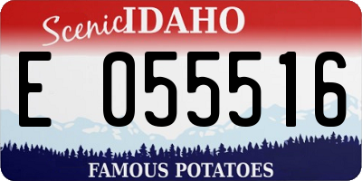 ID license plate E055516