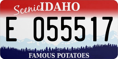ID license plate E055517