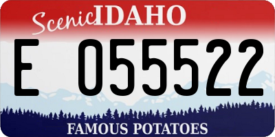 ID license plate E055522