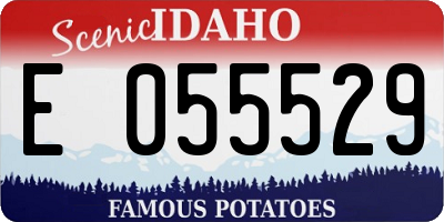 ID license plate E055529