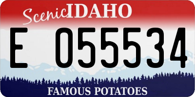 ID license plate E055534