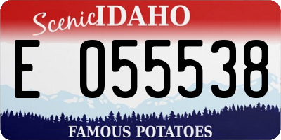 ID license plate E055538