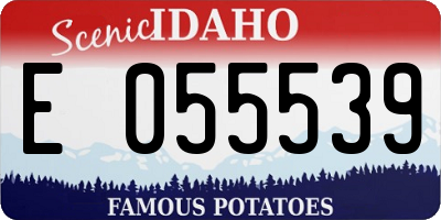 ID license plate E055539
