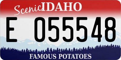 ID license plate E055548