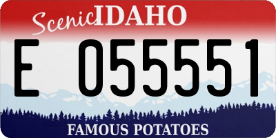 ID license plate E055551