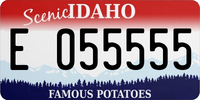 ID license plate E055555