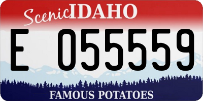 ID license plate E055559