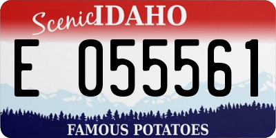 ID license plate E055561