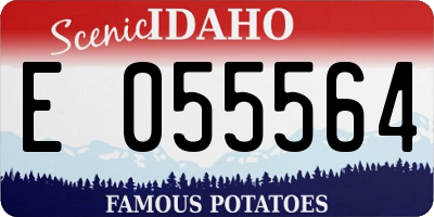 ID license plate E055564