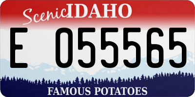 ID license plate E055565