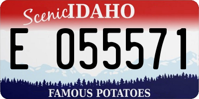 ID license plate E055571