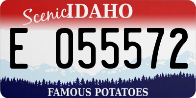 ID license plate E055572