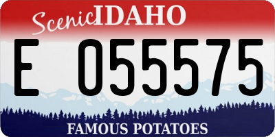 ID license plate E055575