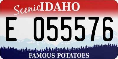 ID license plate E055576