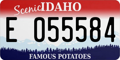ID license plate E055584