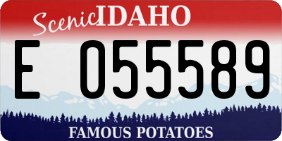 ID license plate E055589