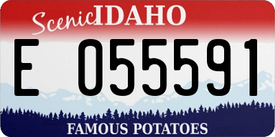 ID license plate E055591
