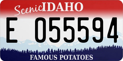 ID license plate E055594