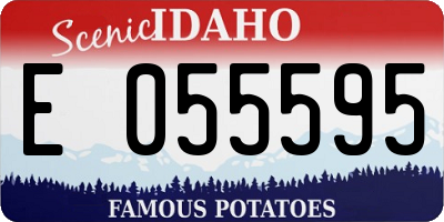 ID license plate E055595