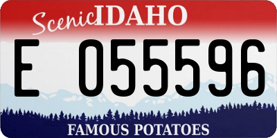ID license plate E055596