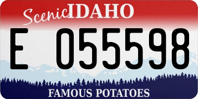 ID license plate E055598