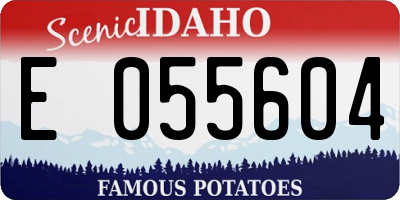 ID license plate E055604