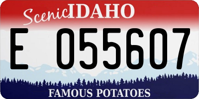 ID license plate E055607