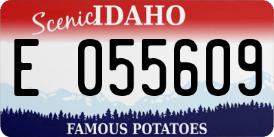 ID license plate E055609