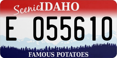 ID license plate E055610
