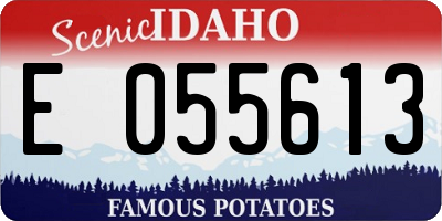 ID license plate E055613