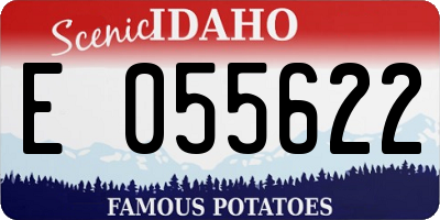 ID license plate E055622