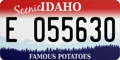 ID license plate E055630