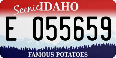 ID license plate E055659