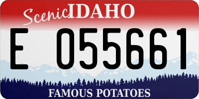 ID license plate E055661