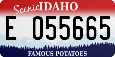 ID license plate E055665