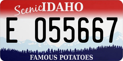 ID license plate E055667