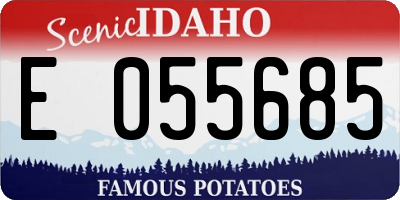 ID license plate E055685