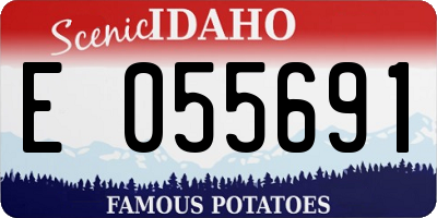 ID license plate E055691