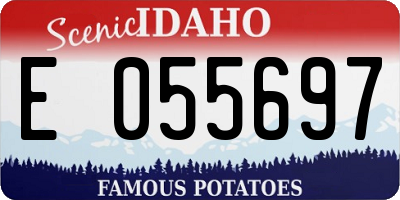 ID license plate E055697