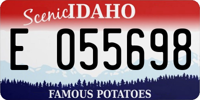 ID license plate E055698