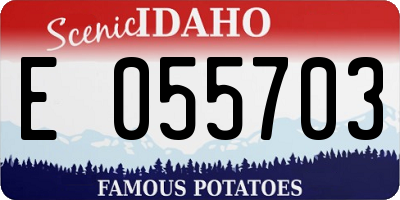 ID license plate E055703